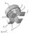 Fig. 02 - Baffle assembly for modifying transitional flow effects between different cavities