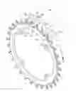 Fig. 01 - Bicycle sprocket