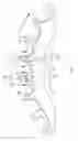 Fig. 08 - Bicycle sprocket