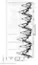 Fig. 32 - Non-prevalent order random sprocket