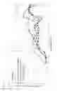 Fig. 93 - Non-prevalent order random sprocket