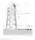 Fig. 02 - Method of providing a latch for pipeline remediation