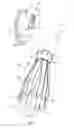 Fig. 02 - DEVICE FOR HOLDING A CONTAINER IN AN INVERTED POSITION