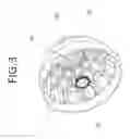 Fig. 04 - Lighting module comprising a mask using non uniform designs