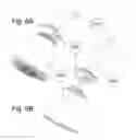 Fig. 07 - Fluid signaling device