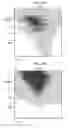 Fig. 07 - Terahertz detection sensor and terahertz image measurement device