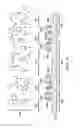 Fig. 04 - Integrated microfabricated vapor cell sensor with transparent body having two intersecting signal paths