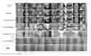 Fig. 01 - Neural face editing with intrinsic image disentangling