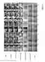 Fig. 09 - Neural face editing with intrinsic image disentangling
