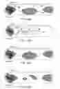 Fig. 08 - Method and system for anticipatory deployment of autonomously controlled vehicles