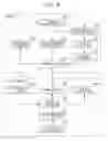 Fig. 17 - Speech continuation determination method, speech continuation determination device, and recording medium