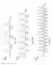 Fig. 12 - State dependent sense circuits and sense operations for storage devices