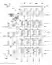 Fig. 09 - Apparatuses and methods including memory access in cross point memory