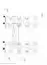 Fig. 04 - Word line read disturb error reduction through fine grained access counter mechanism