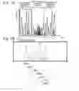 Fig. 07 - Mass spectrometer, mass spectrometry method and program for mass spectrometry