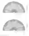 Fig. 21 - Uniform CMP polishing method