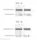 Fig. 11 - PLASMA PROCESSING METHOD AND PLASMA PROCESSING DEVICE