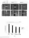 Fig. 03 - Chemistries for TSV/MEMS/power device etching