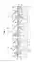 Fig. 08 - Solid-state imaging device and method for manufacturing solid-state imaging device, and electronic device