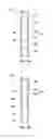 Fig. 02 - Methods of forming semiconductor structures including multi-portion liners