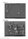 Fig. 45 - Particle, electrode, power storage device, electronic device, and method for manufacturing electrode
