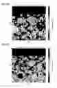Fig. 02 - Cathode active material used for lithium ion secondary battery and lithium ion secondary battery using same