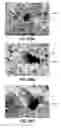 Fig. 84 - Fuel cell device and system