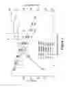 Fig. 06 - Regenerative fuel cells