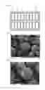 Fig. 06 - Positive active material for lithium secondary battery, method for producing precursor of positive active material, method for producing positive active material, positive electrode for lithium secondary battery, and lithium secondary battery