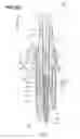 Fig. 02 - Spark plug