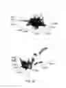 Fig. 21 - Foreign Object Detection In Wireless Energy Transfer Systems