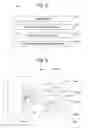 Fig. 07 - IMAGE PROCESSING