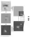 Fig. 06 - Convolutional color correction in digital images