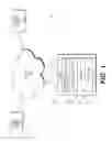 Fig. 02 - Systems and methods of dynamic optimization of data element utilization according to objectives