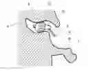 Fig. 01 - Flexible ear piece for hearing aid