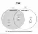 Fig. 02 - Communication apparatus, communication method, and storage medium