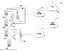 Fig. 01 - WiFi efficient network transition