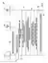 Fig. 07 - WiFi efficient network transition