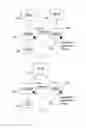 Fig. 02 - Coordination of subscriber register entries