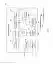 Fig. 07 - Paging optimization for VeNB