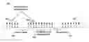 Fig. 01 - Distributed unit connection issue