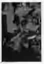 Fig. 01 - Blackberry plant named 'Eclipse'