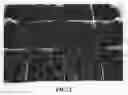 Fig. 03 - Blackberry plant named 'Eclipse'