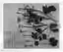 Fig. 02 - Ranunculus plant named 'Absirlpin'