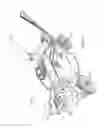 Fig. 12 - Walk power mower with transmission providing both forward and reverse propulsion