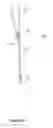 Fig. 08 - ANIMAL RESTRAINT SYSTEM