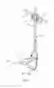 Fig. 03 - BOOM HEIGHT SENSOR ASSEMBLY