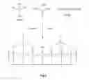 Fig. 05 - Silica particles functionalized and loaded with fungicidal agents, their manufacture and their use as systems of targeted and controlled release of fungicides