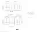 Fig. 10 - Silica particles functionalized and loaded with fungicidal agents, their manufacture and their use as systems of targeted and controlled release of fungicides