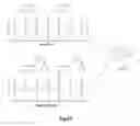 Fig. 17 - Silica particles functionalized and loaded with fungicidal agents, their manufacture and their use as systems of targeted and controlled release of fungicides